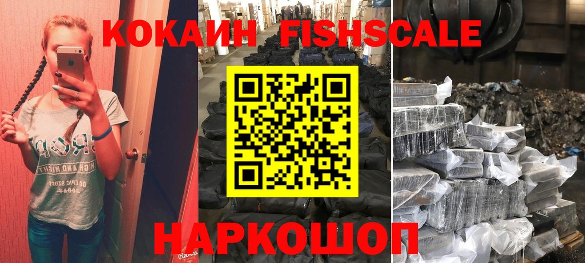 Рубцовск  Кокаин Fish Scale  COCAIN 99%  купить  цена  Вход с VPN 