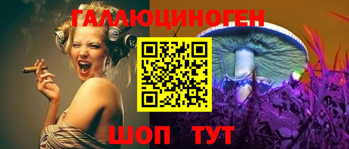 Галлюциногенные грибы Psilocybine cubensis Рубцовск